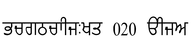 stylish fonts in punjabi