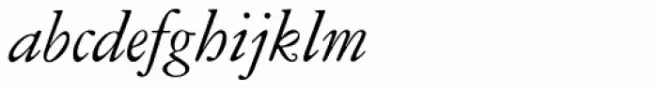 American Garamond Italic