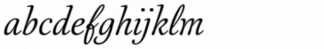 Australis Pro Swash Italic