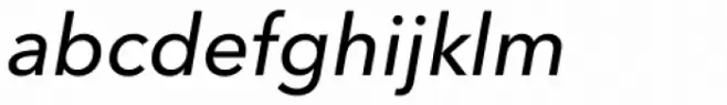 Avenir Next Pro Medium Italic