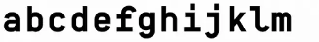 BB Manual Mono Pro Text Bold