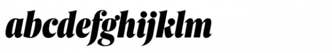 Berlingske Serif Extracondensed Std Black Italic