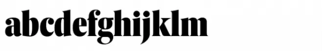 Berlingske Serif Extracondensed Std Black