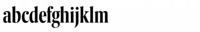 Berlingske Serif Extracondensed Std Demibold