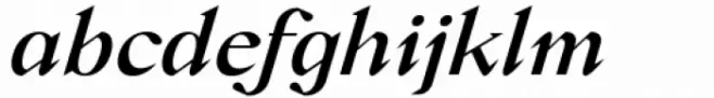 Crucial Medium Italic