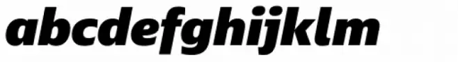 Ebony Heavy Italic