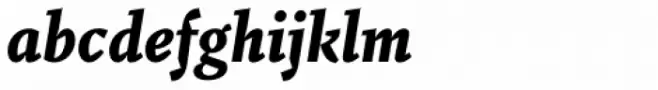 Fazeta Caption Black Italic