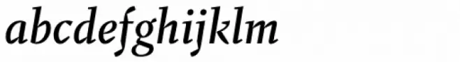 Fazeta Text Medium Italic