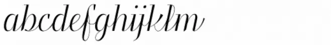 Felis Script Thin