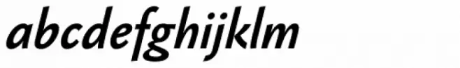 Jannon Sans Book Bold Italic