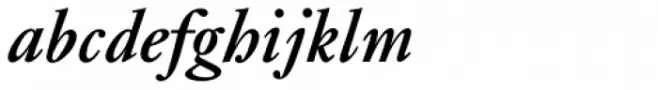 Janson Std Bold Italic