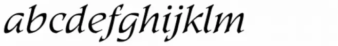 Kyiv Semi Light Italic