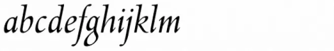 Lutetia Nova Book Italic