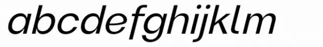 Magnify PRO Light Italic