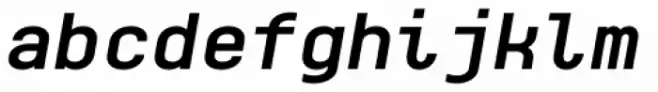 Monospaceland Bold Oblique