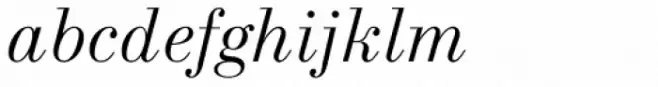 New Standard Italic