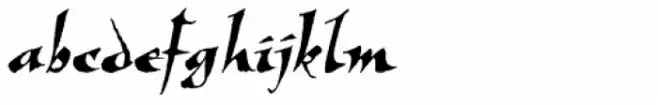 New Visigoth LXSN Italic