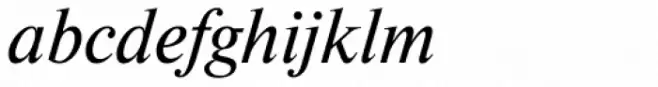 Newton Italic