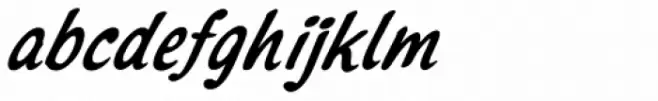 Northport Medium Italic