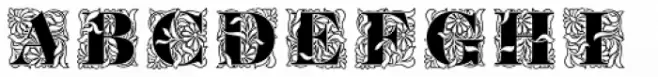 Ornate Initials Style One