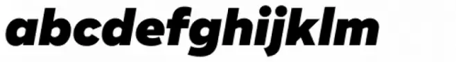 Ridley Grotesk Black Italic