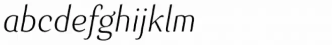 Senlot Norm Thin Italic