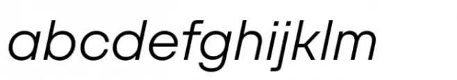 SFT Schrifted Sans Light Italic