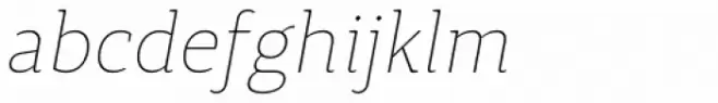 Synerga Pro Thin Italic