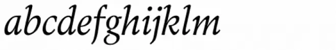 Toshna Book Italic