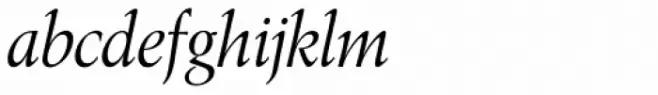 Toshna Display Italic